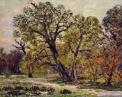 马克西姆 莫福拉 : Autumn, Fontainebleau Forest